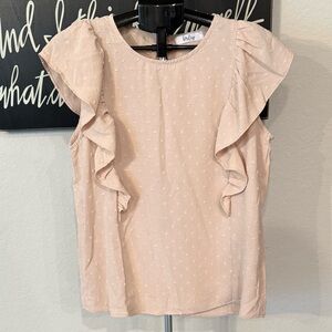 Briley Swiss Dot Top NWOT